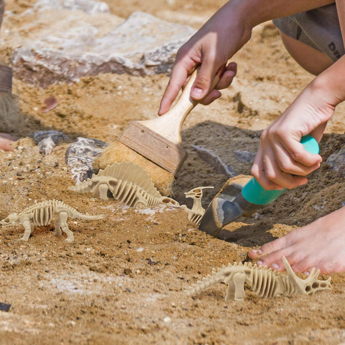 Dinosaur Fossils Toy Set Collection