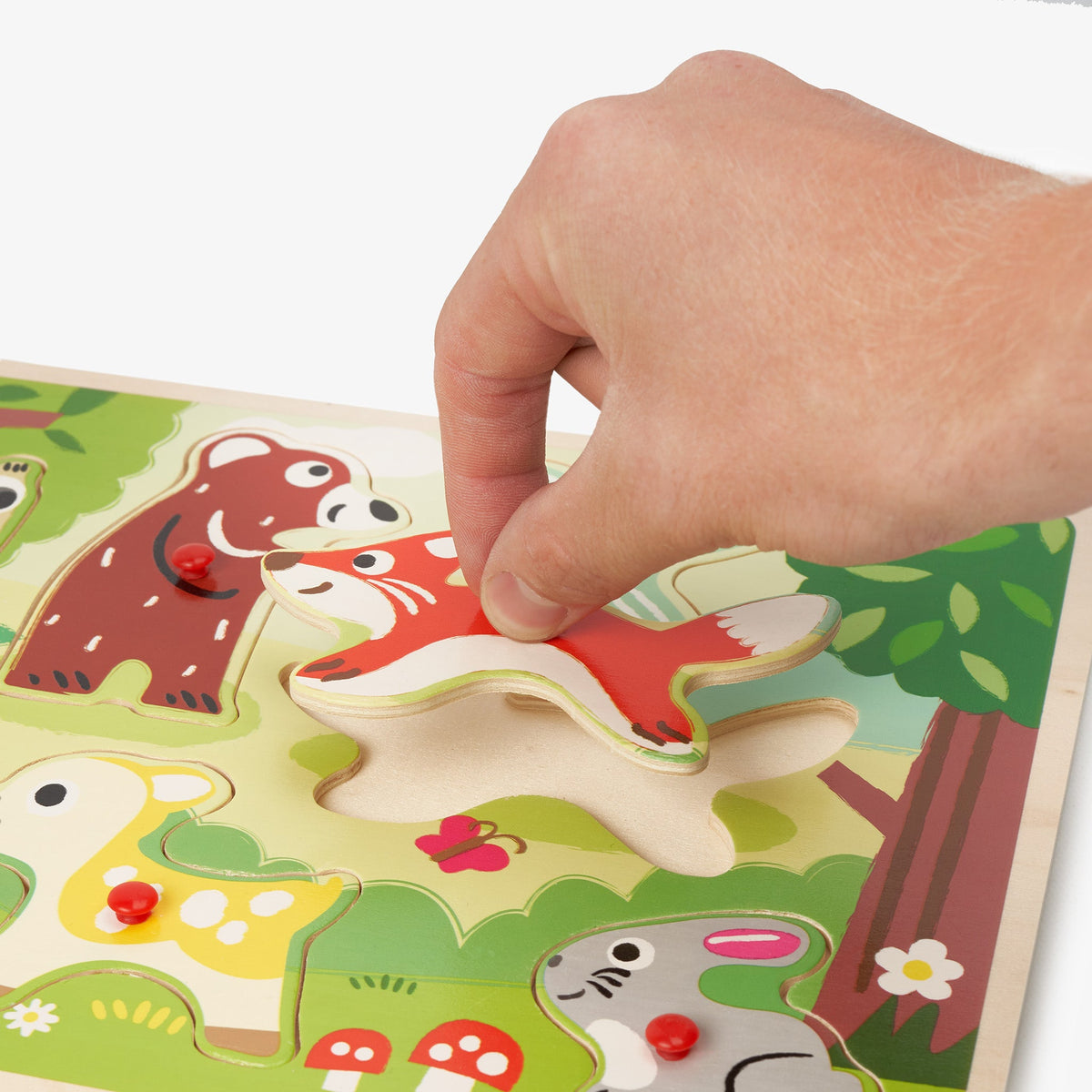 Wooden Jigsaw Peg Puzzles 30cm Set