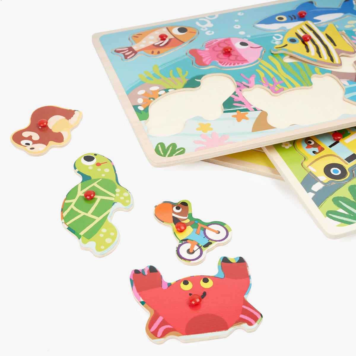 Wooden Jigsaw Peg Puzzles 30cm Set