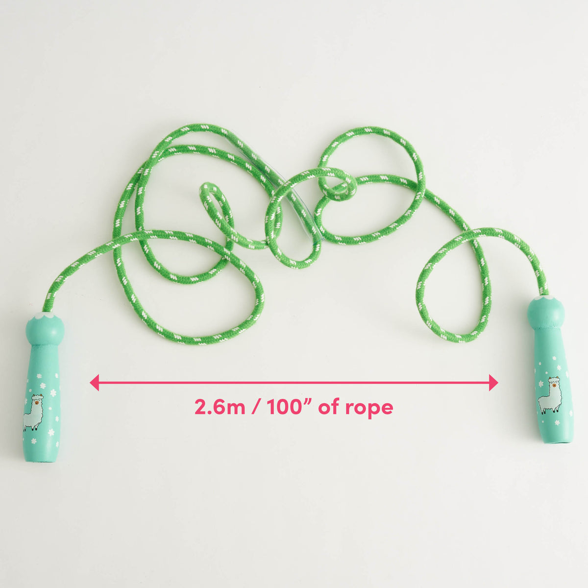 Wooden Animal Skipping Ropes Collection