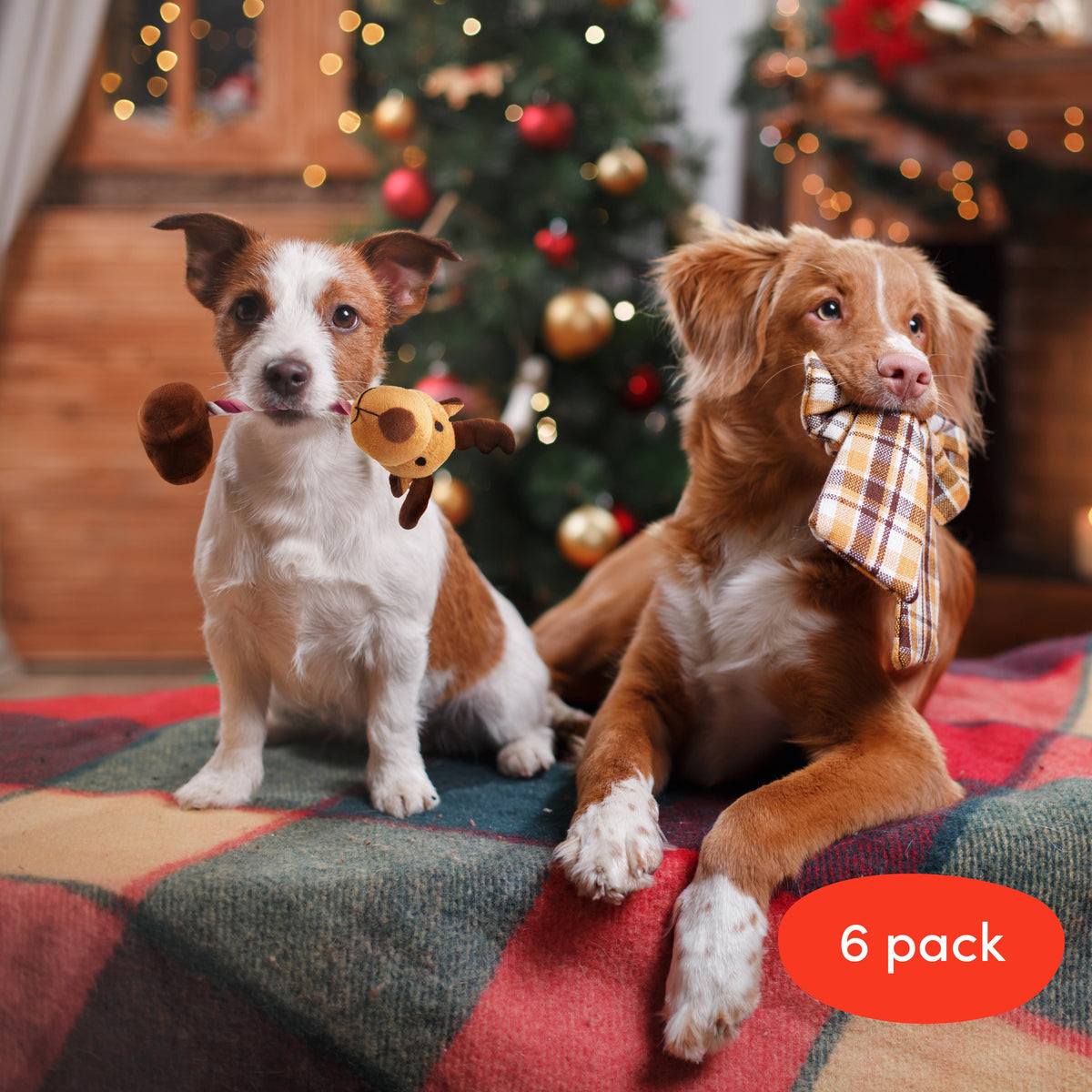 Festive Christmas Dog Toys Set