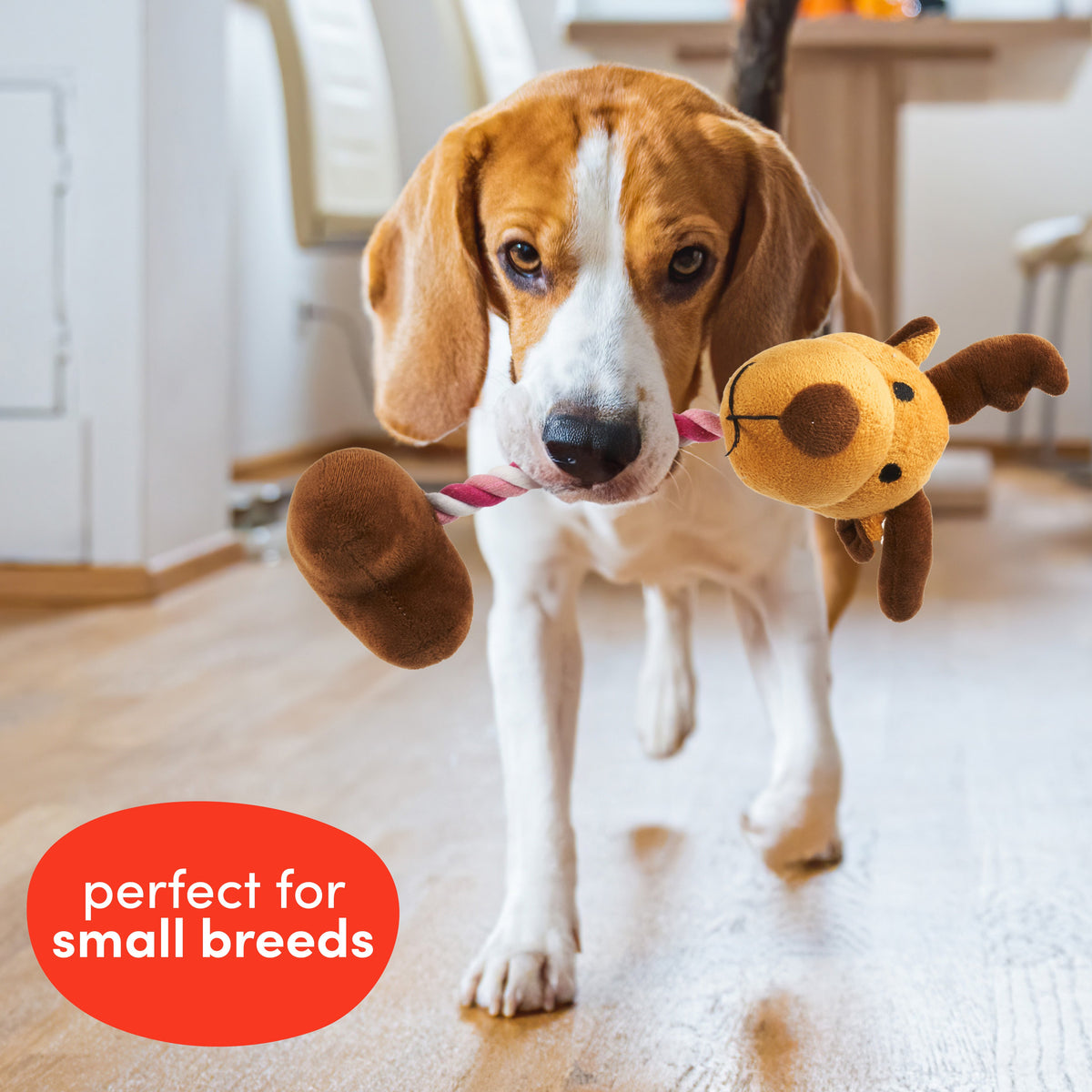 Festive Christmas Dog Toys Set
