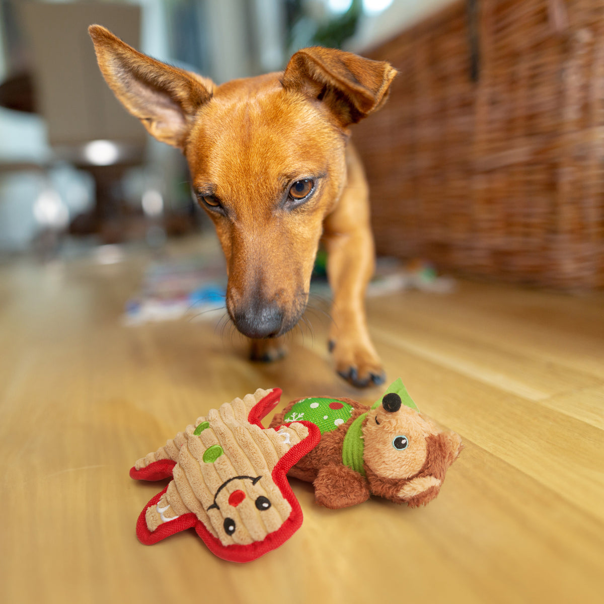 Festive Christmas Dog Toys Set