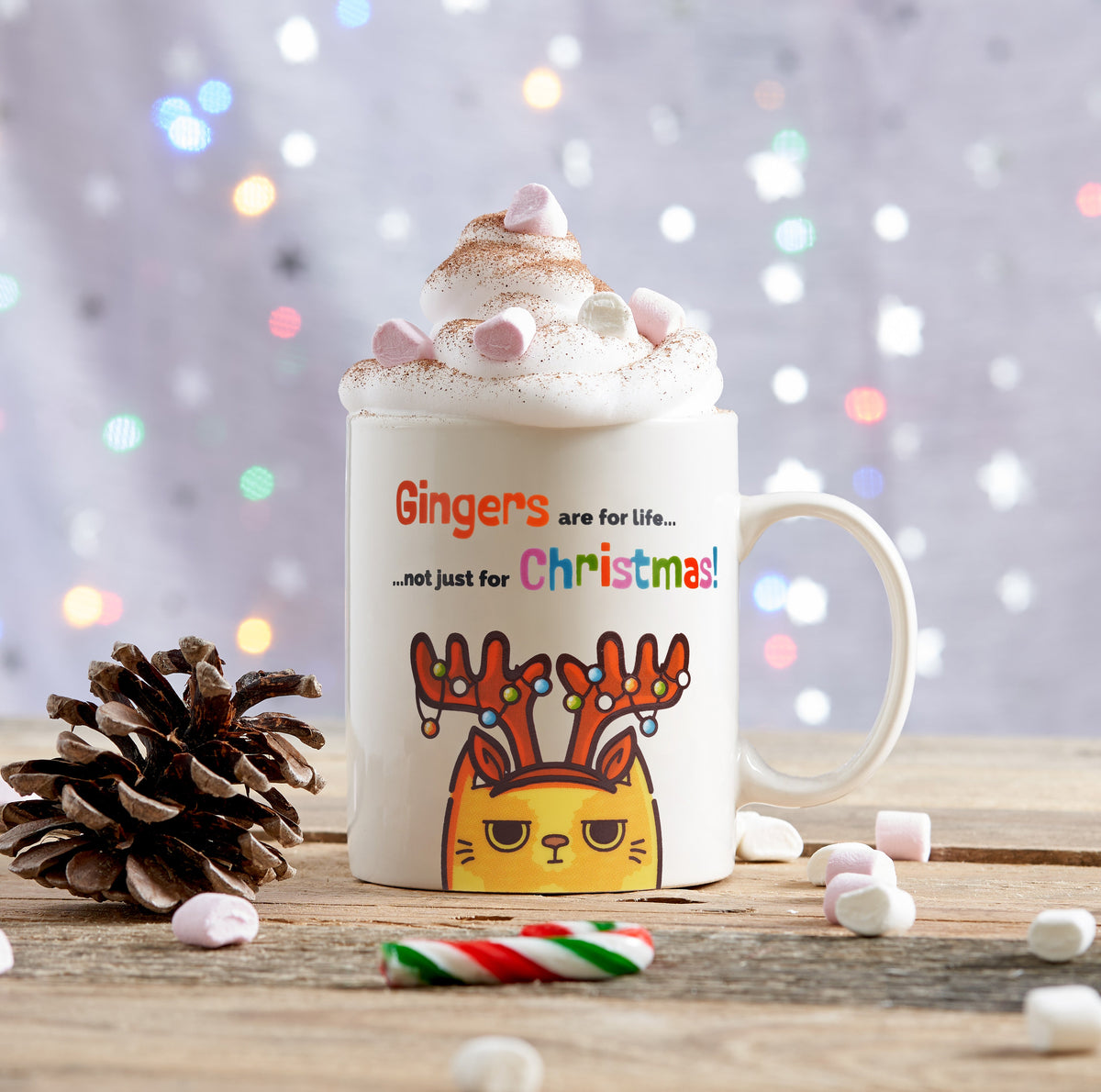 Novelty Ginger Joke Christmas Mug Collection