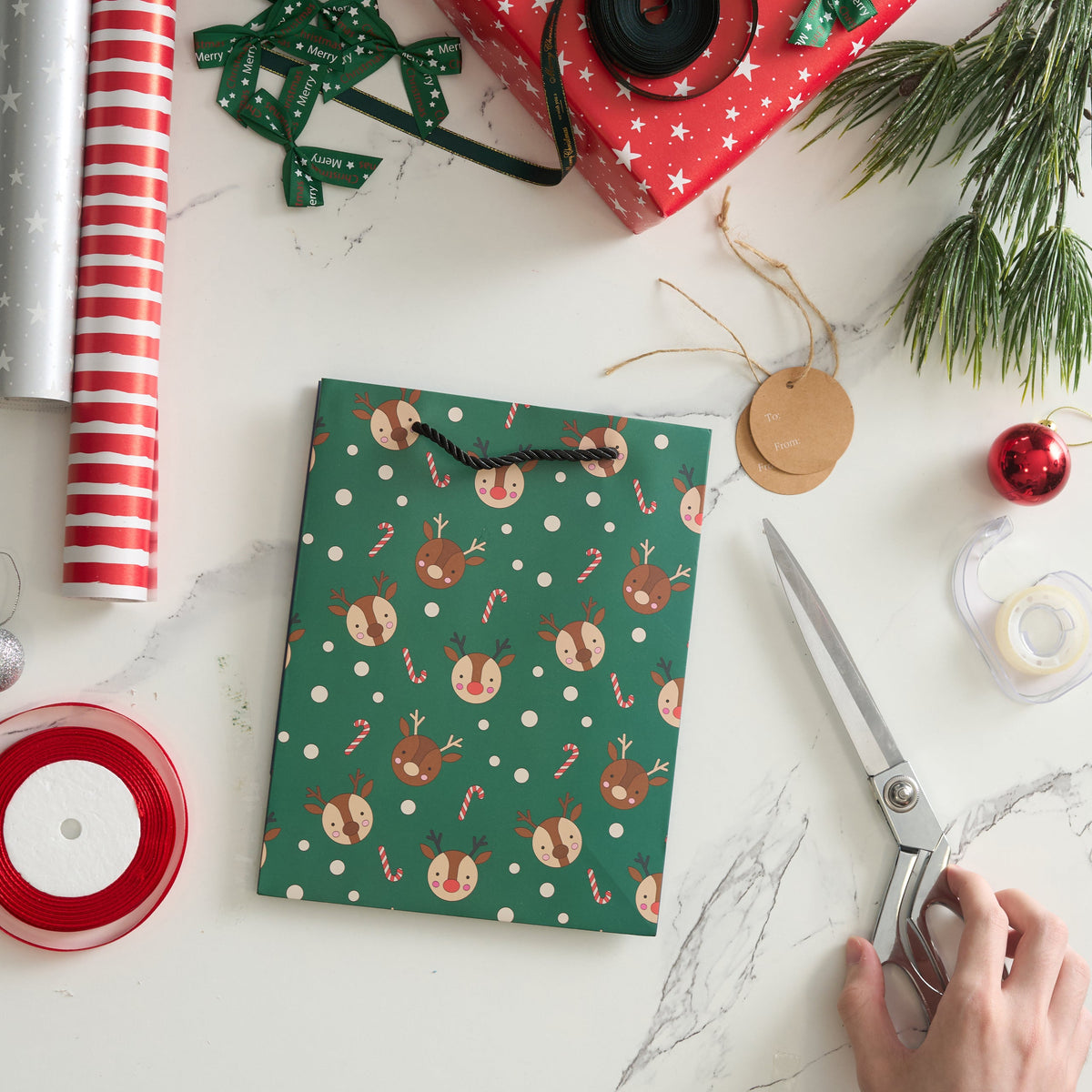 Christmas Characters Gift Bags – Assorted