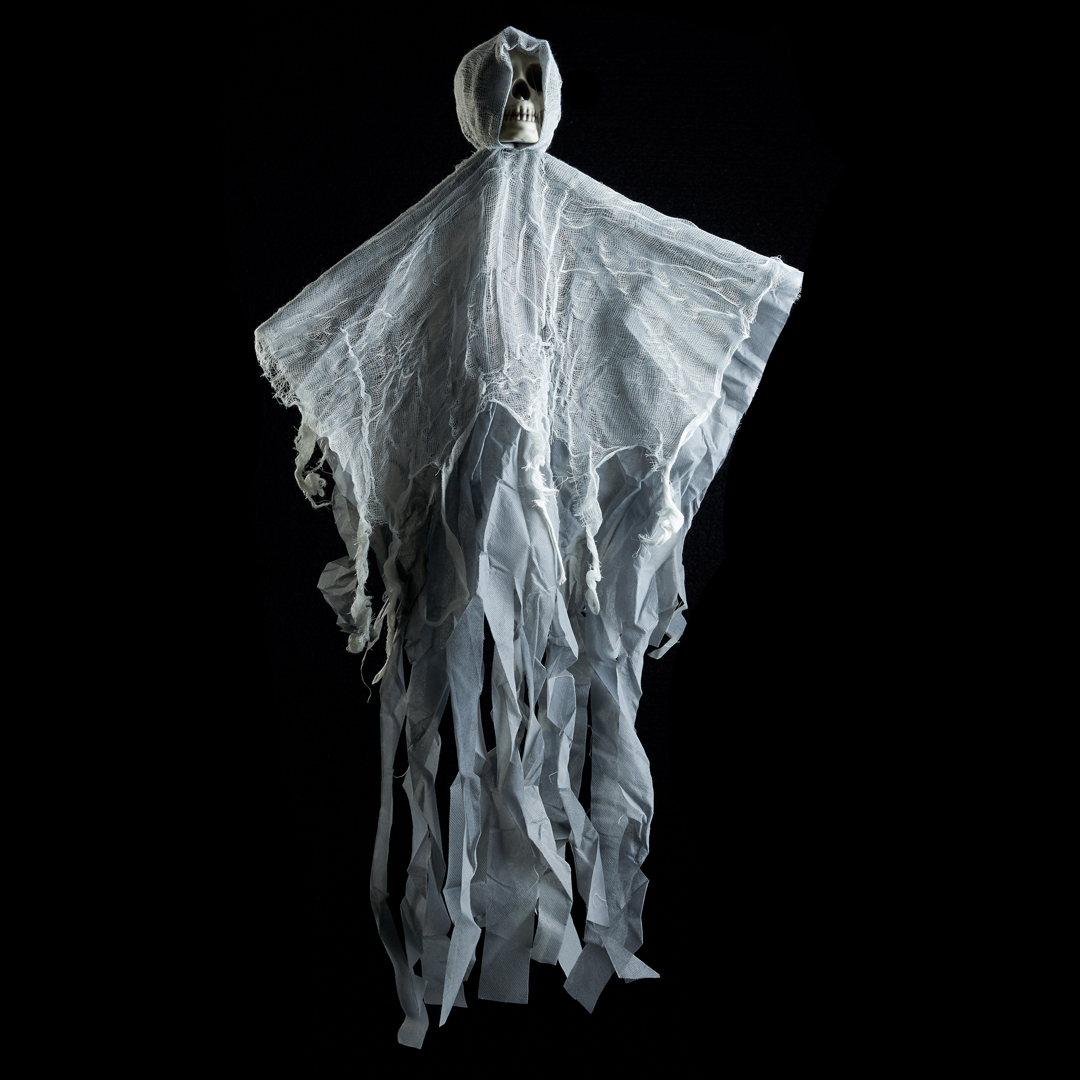 Decorative Hanging Skeletons Collection