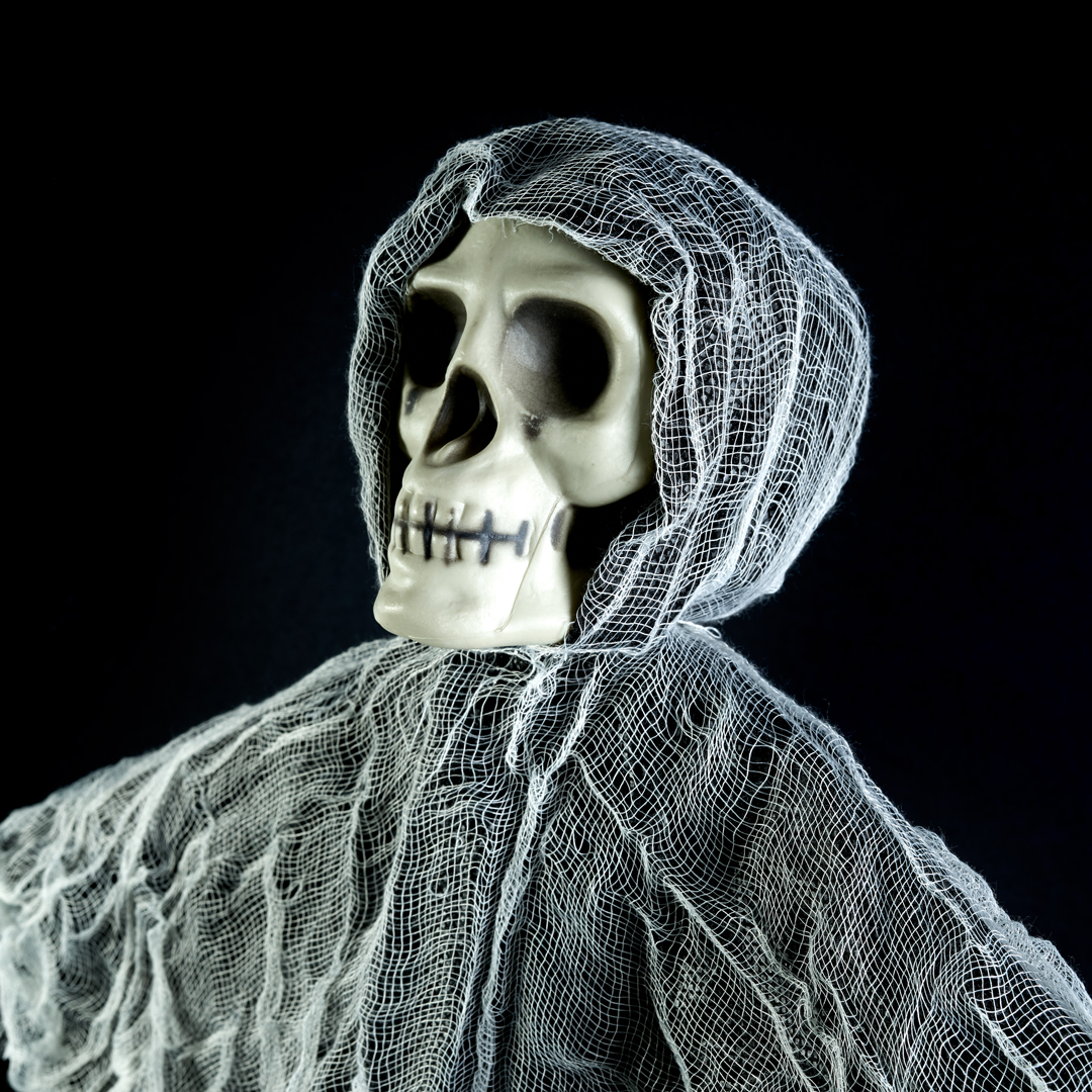 Decorative Hanging Skeletons Collection