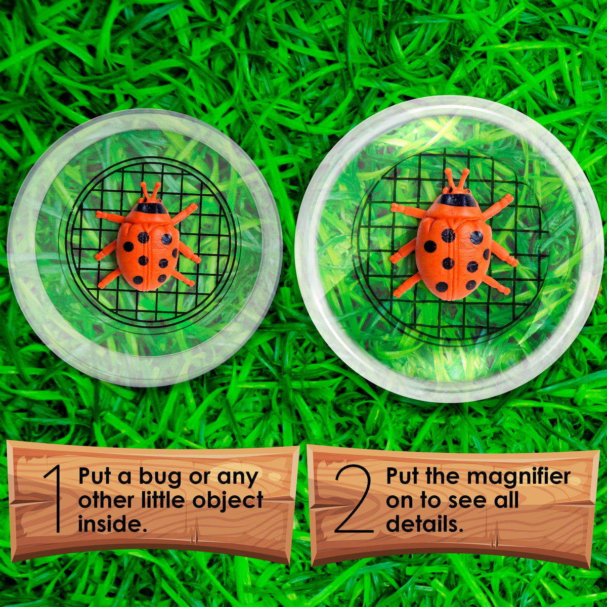 Bug Catcher Viewers Including Magnifier
