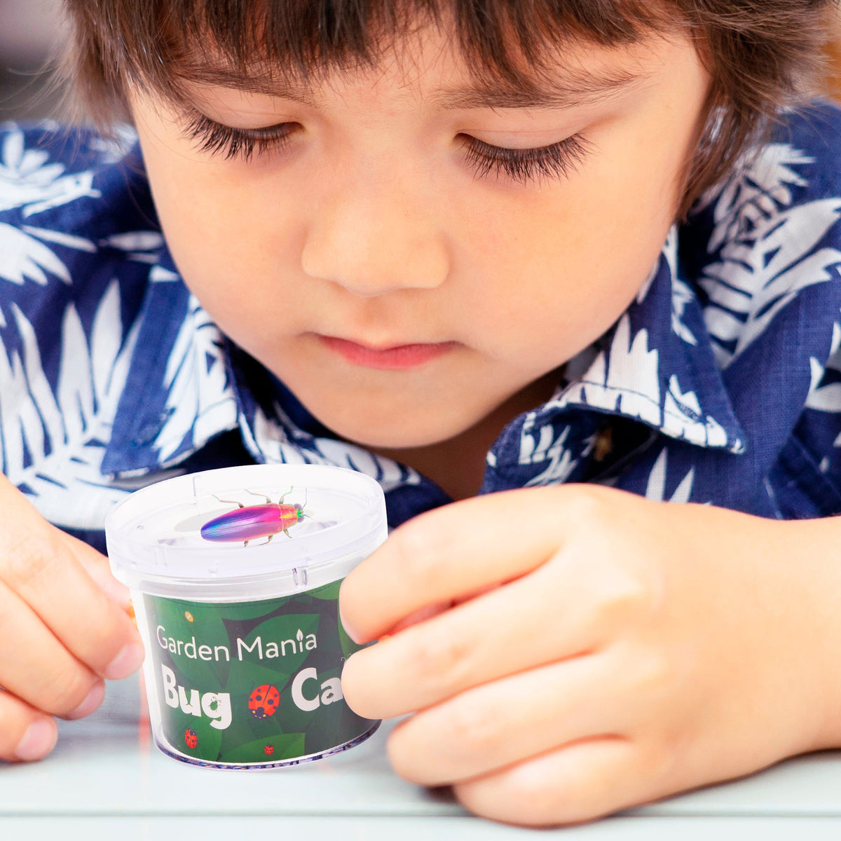 Bug Catcher Viewers Including Magnifier