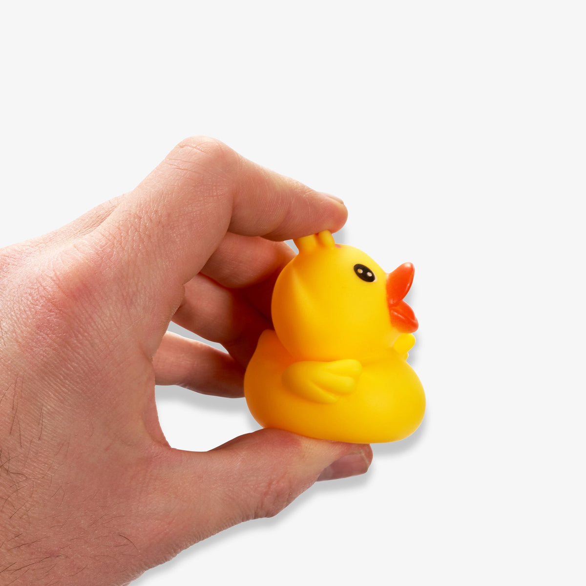 Floating Animal Bath Toys Set