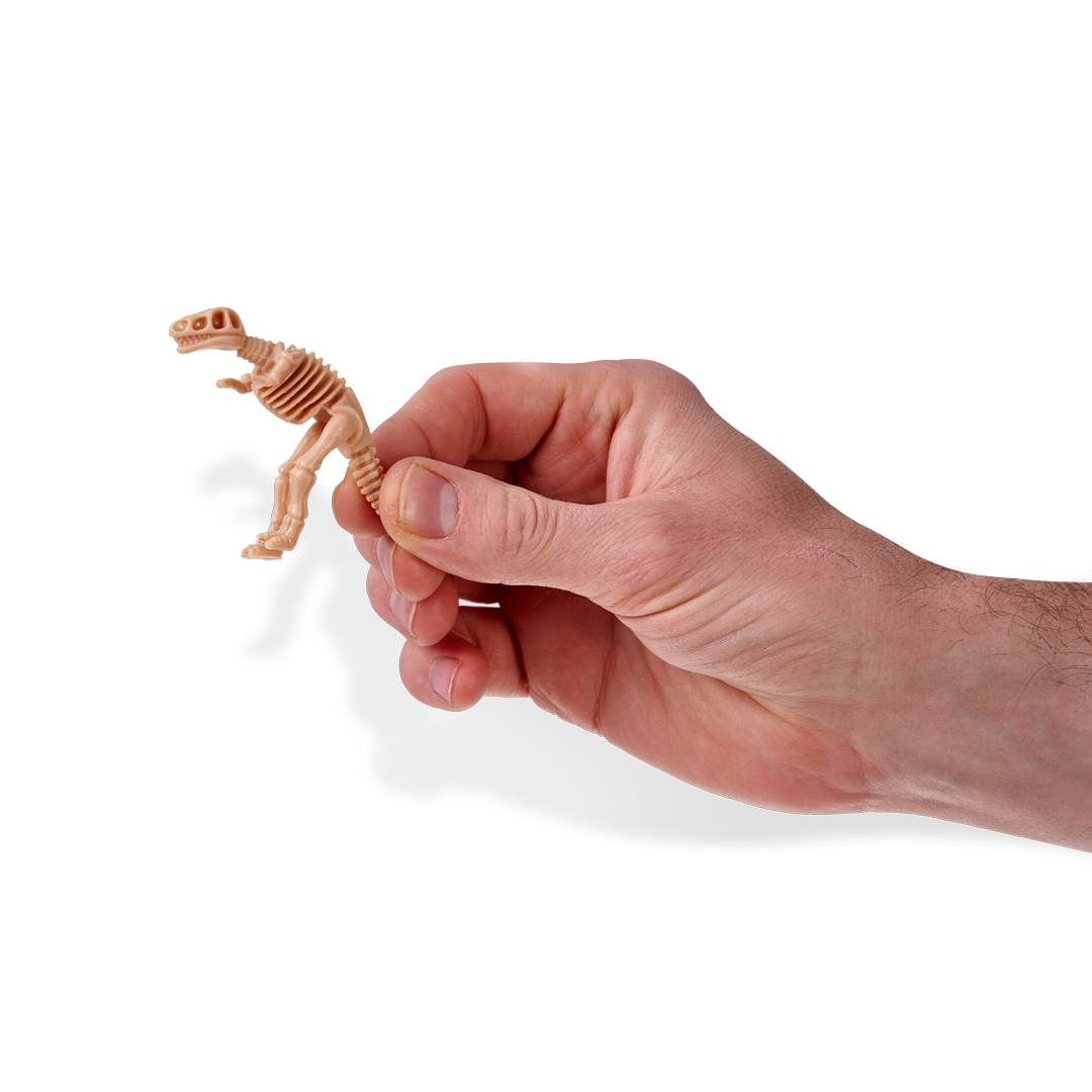 Dinosaur Fossils Toy Set Collection