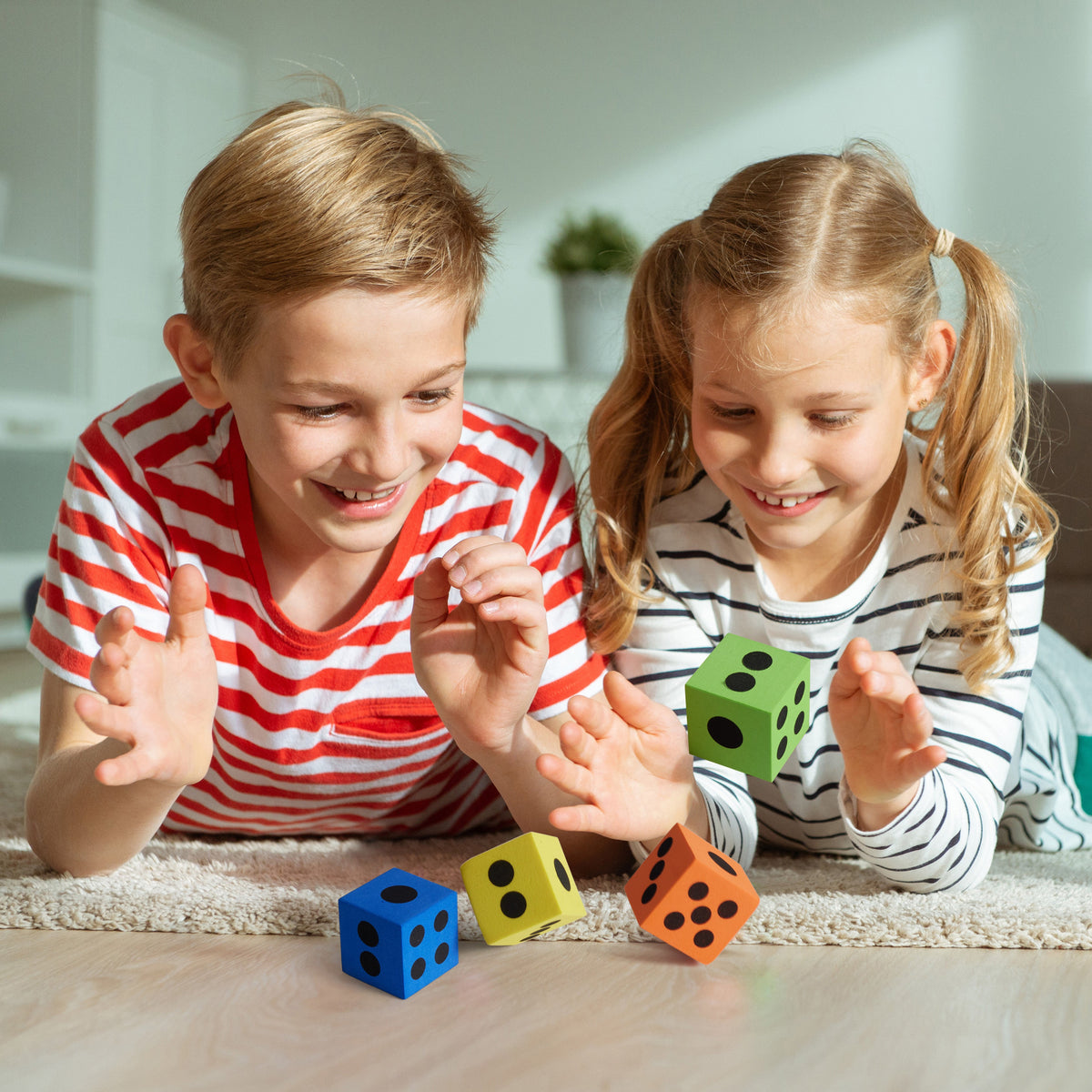Foam Dice – Large