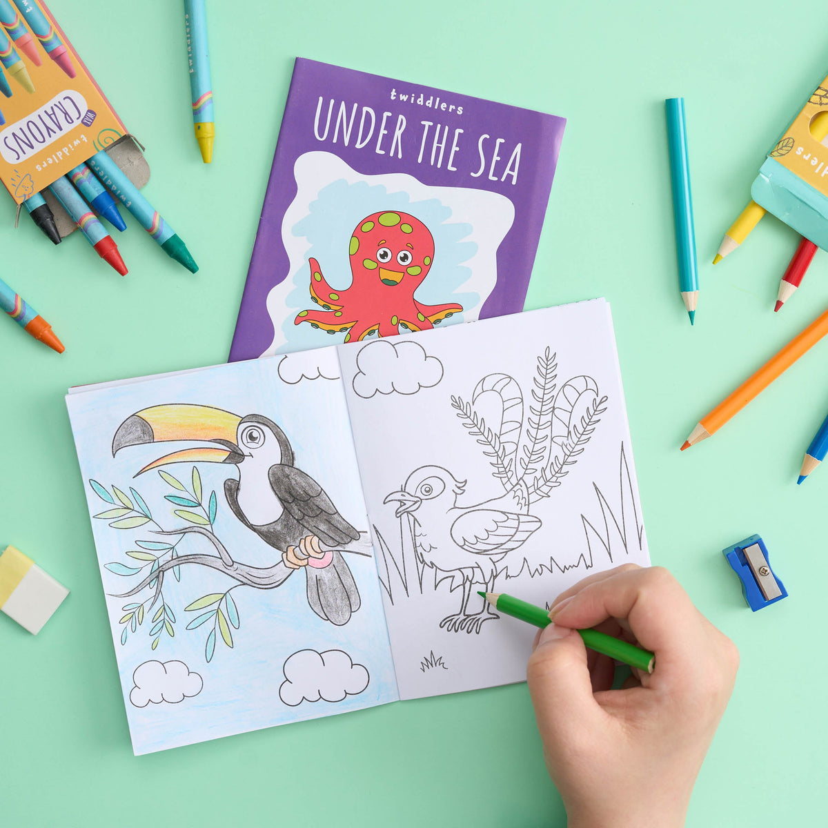 Wildlife Colouring Activity Books – Mini