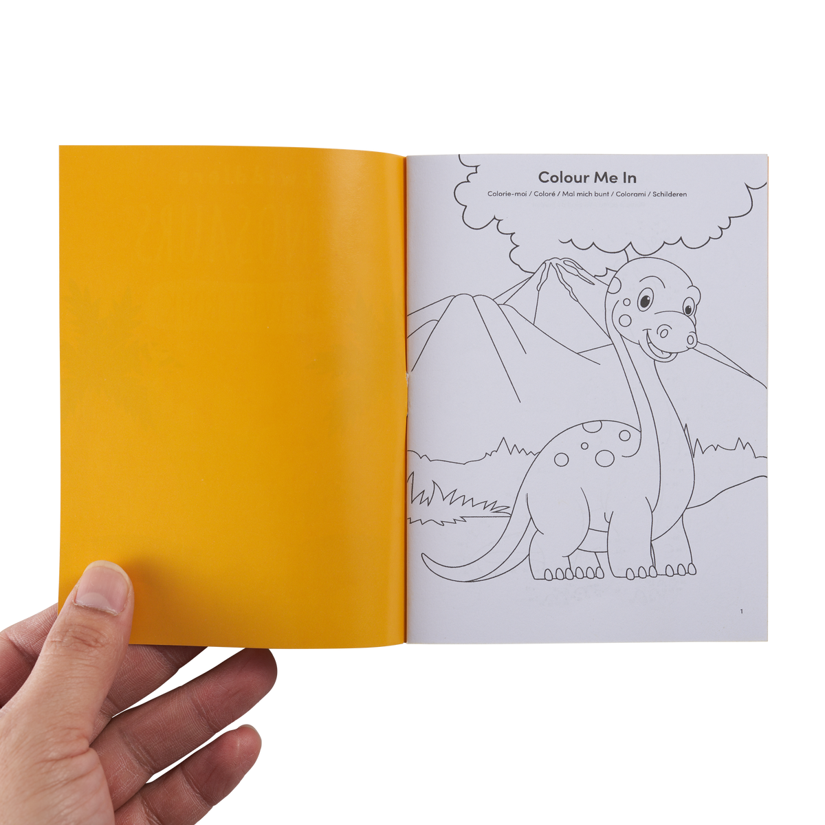 Wildlife & Dinosaurs Activity Colouring Books Set
