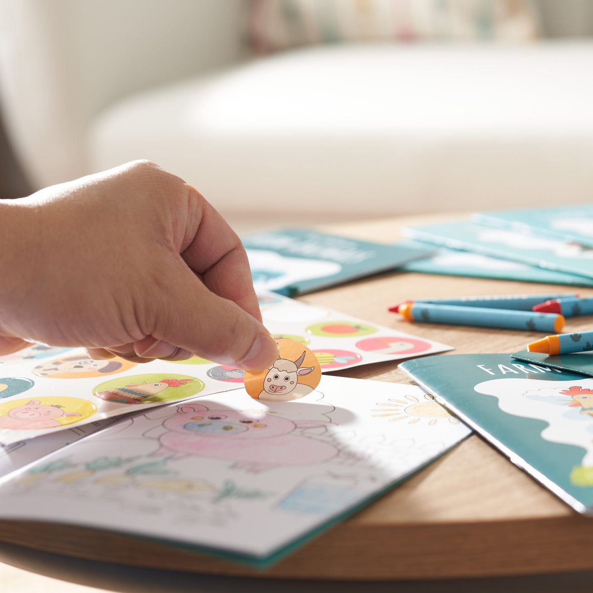 Farm Animals Colouring Books Including Crayons & Stickers