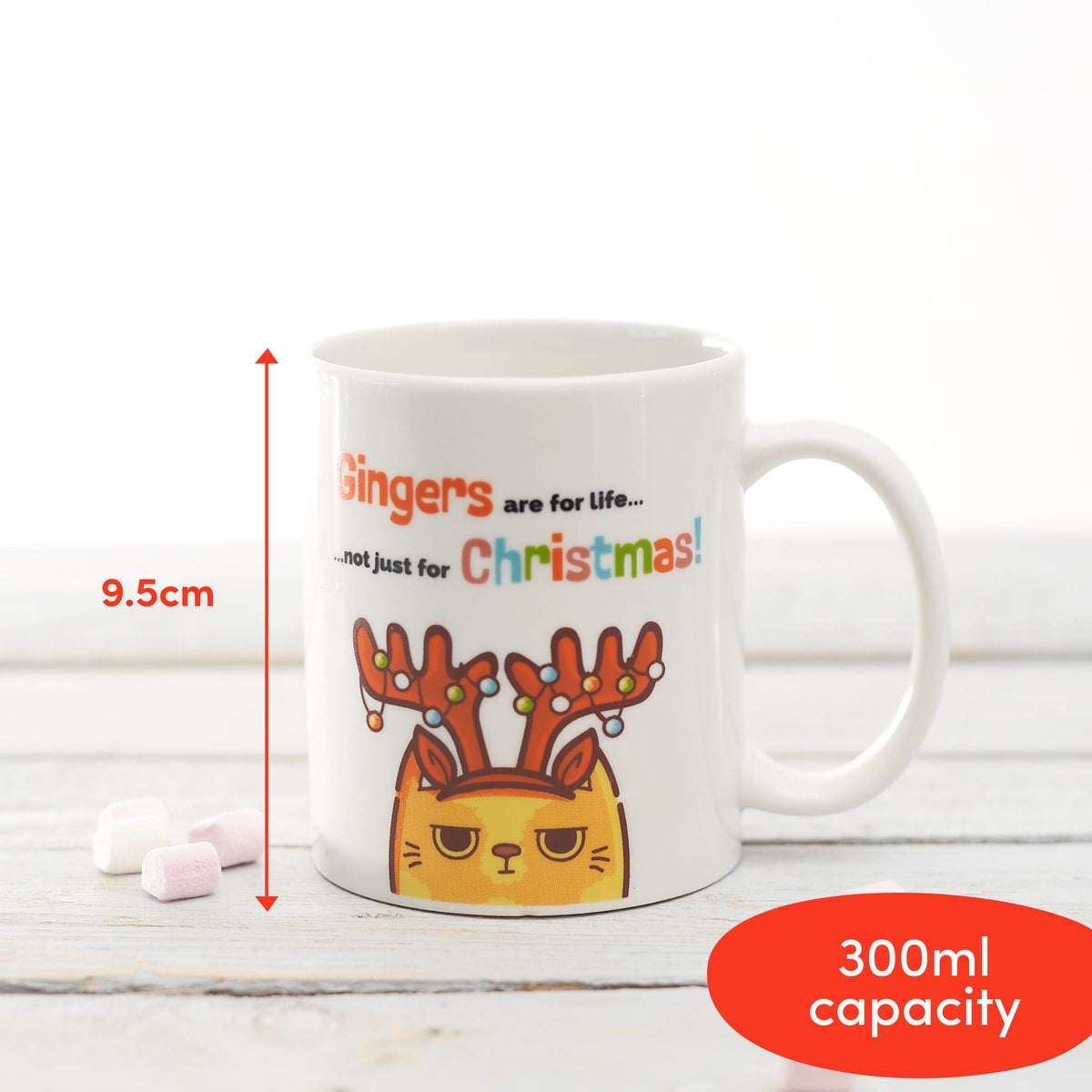 Novelty Ginger Joke Christmas Mug Collection
